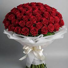 Букет 101 Красная роза Блэк Мэджик в Зеленоградский Пушкинского района