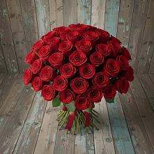 Букет 55 Красных роз Фридом #REPLACE_PRED# Зеленоградский Пушкинского района