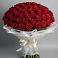 Букет 101 Красная роза Блэк Мэджик в Зеленоградский Пушкинского района