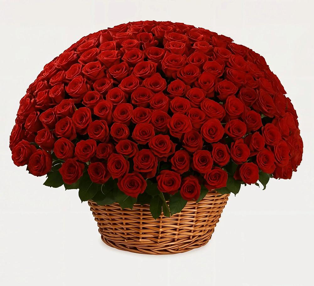 Премиум букет из: Розы в Зеленоградский Пушкинского района