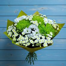 Букет цветов из:  Хризантемы #REPLACE_PRED# Зеленоградский Пушкинского района