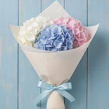 Букет цветов из:  Гортензия #REPLACE_PRED# Зеленоградский Пушкинского района