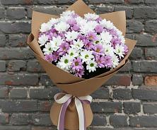 Букет цветов из:  Хризантемы #REPLACE_PRED# Зеленоградский Пушкинского района