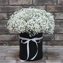 Цветочная композиция из Гипсофила в шляпной коробке в Зеленоградский Пушкинского района