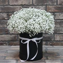 Цветочная композиция из Гипсофила в шляпной коробке в Зеленоградский Пушкинского района