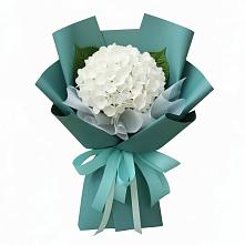 Букет цветов из:  Гортензия #REPLACE_PRED# Зеленоградский Пушкинского района